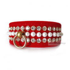 Hunde-Halsband & Leine Le Rouge rot, im Set