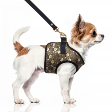 Hunde-Geschirr BETHANY