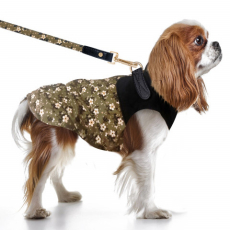 Hunde-Regenjacke MARY khaki-dunkelblau