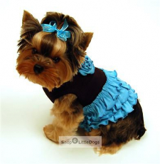 Hundekleid Salsa Girl schwarz-aqua (Gr.XS)