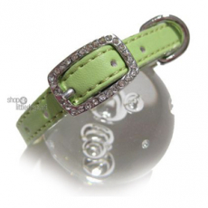 Hunde-Halsband Yummy green (Gr.M)