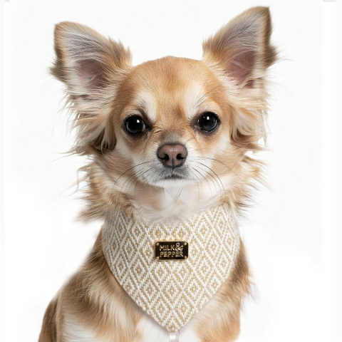 Hunde-Bandana 'JABALI' beige