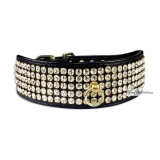 Hunde-Halsband 'Luxury' schwarz-gold