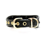Hunde-Halsband Luxury schwarz-gold