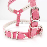 Hundegeschirr & Leine 'Pretty' pink