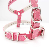 Hundegeschirr & Leine Pretty pink