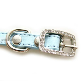 Hundehalsband Yummy babyblue (Gr.M)