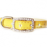 Hunde-Halsband 'Yummy' gelb (Gr.XS)