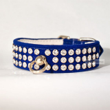 Hundehalsband & Leine 'Royal' saphirblau, im Set