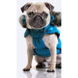 Hunde-Winterjacke 'Aspen' teal (Gr.24)