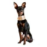 Hunde-Halsband 'Luxury' weiß