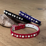 Halsband 'VELVET PUPPY' schwarz, rot, blau