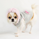 Hundejacke 'Bunny' grau (Gr.L,XL)