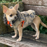 Hunde-Jacke 'Action' beige (Gr.XS)