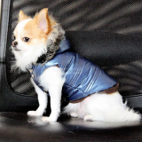 Hundejacke 'Metallic' blau (Gr.XS,S,XL)