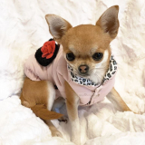 Hundejacke 'Rose Coat' rosé (Gr.L)