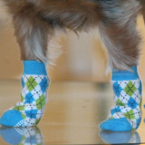 Hundesocken Camo grün