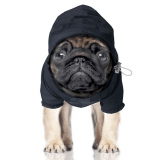 Hunde-Regenjacke WINCH navy (Gr.29,38)