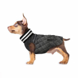 Hundejacke 'TEDDY'