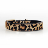 Hundehalsband 'LEOPARD'