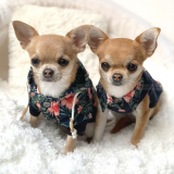 Hunde-Sweater KAHALA BEACH flower