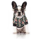 Hunde-Sweater KAHALA BEACH flower