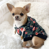 Hunde-Sweater KAHALA BEACH flower