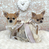 Hundekleid PRINCESS champagne