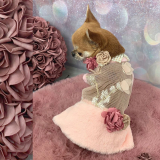 Hundekleid FLORETS rosé