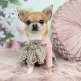 Hunde-Kleid 'ANNETTE'