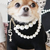 Hunde-Perlenkette 'Pearl' weiß