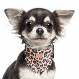 Hunde-Halstuch SAFARA rosé leopard (Gr.35)