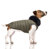 Hunde-Jacke 'BASILE' khaki