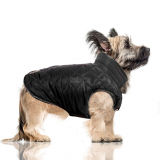 Hunde-Jacke 'GRAHAM' schwarz