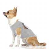 Hunde-Shirt ''HILDA' grau