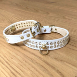 Hunde-Halsband 'AVANCE' weiß