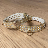 Hunde-Halsband AVANCE gold