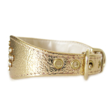 Hunde-Halsband 'LUXURY' gold