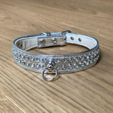 Hunde-Halsband AVANCE silber