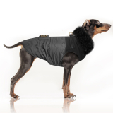 Hundejacke PHILOMENE grey