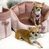 Hunde-Toybox DIVA rosa