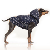 Hunde-Regenjacke 'CONSTANZE' blau