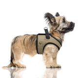 Hundegeschirr 'HARISSON' beige