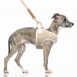 Hunde-Geschirr 'KOFI'