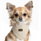 Hunde-Bandana JABALI beige