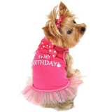 Hundekleid 'It's MY BIRTHDAY' pink (Gr.XS,L)