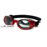 Hunde-Sonnenbrille Shiny Red rot